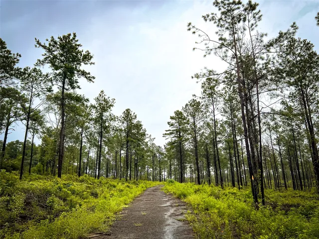 $99,000 | 5 Cr 257 Jasper Tx 75951, Jasper, TX 75951