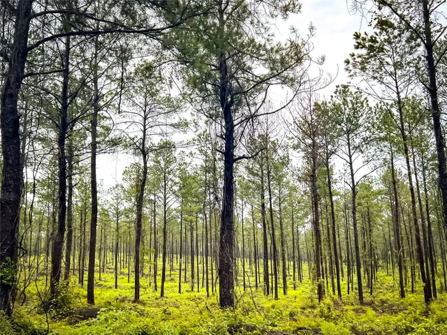 $99,000 | 5 Cr 257 Jasper Tx 75951, Jasper, TX 75951