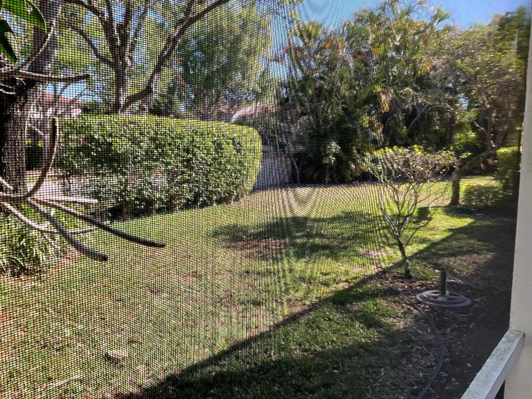 6840 Via Regina Boca Raton, FL 33433 - Photo 12 of 34 plum yard