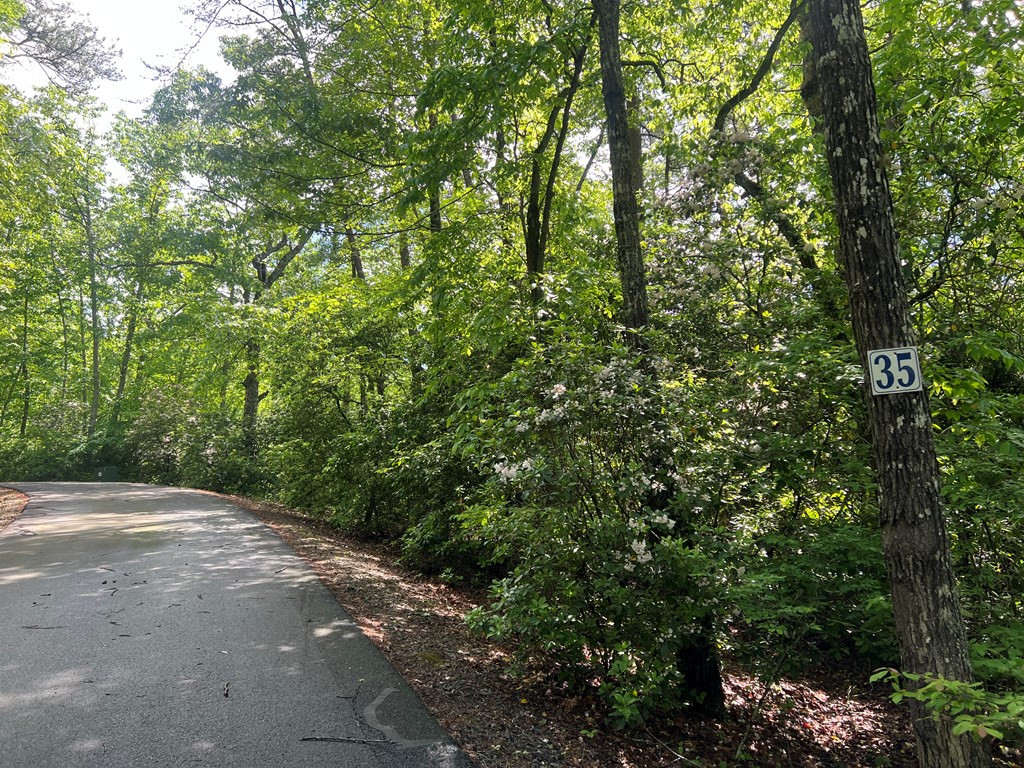 Lot 35 Mission Ridge Hayesville, NC 28904 - Photo 7 of 15