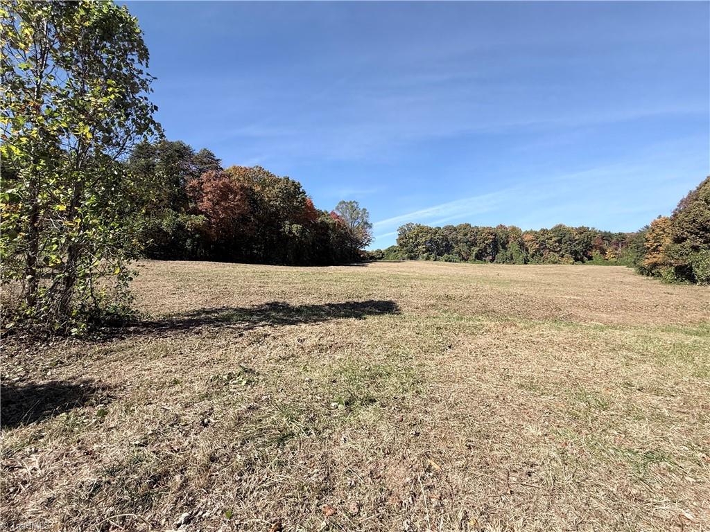 0 Reid Road King, NC 27021 - Photo 28 of 41