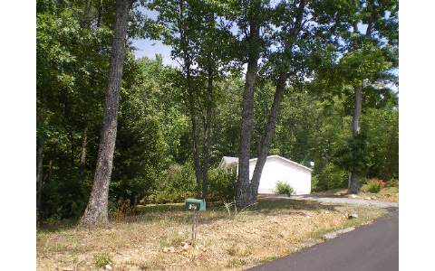 680 Tipton Road Blue Ridge, GA 30513 - Photo 1 of 1 Main View