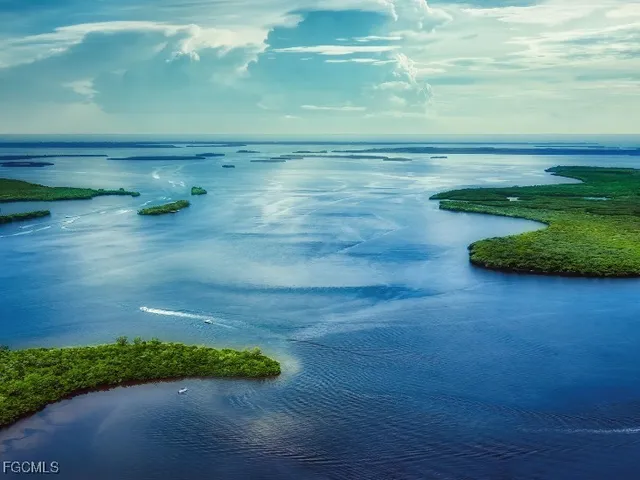 a view of a green field with trees in the background