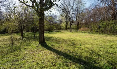 a view of a trees with a yard