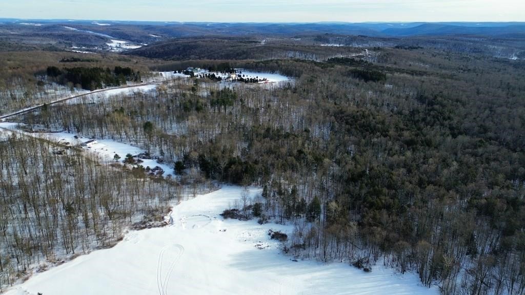 45 Kronus Road Erin, NY 14838 - Photo 14 of 25