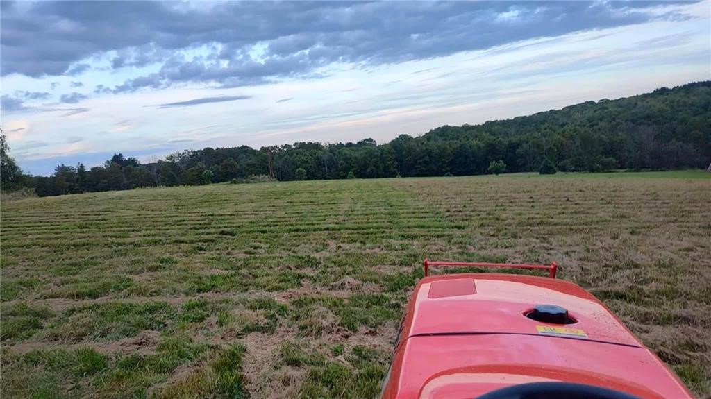 45 Kronus Road Erin, NY 14838 - Photo 2 of 25