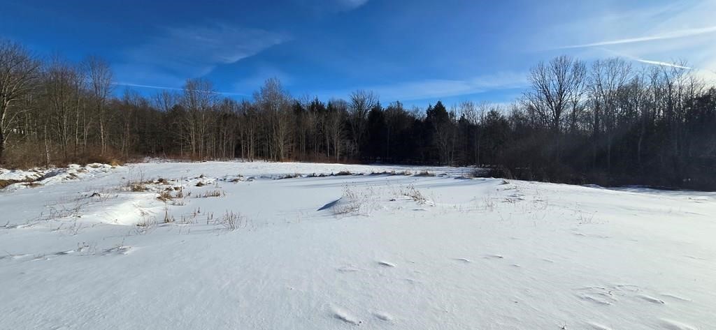 45 Kronus Road Erin, NY 14838 - Photo 23 of 25