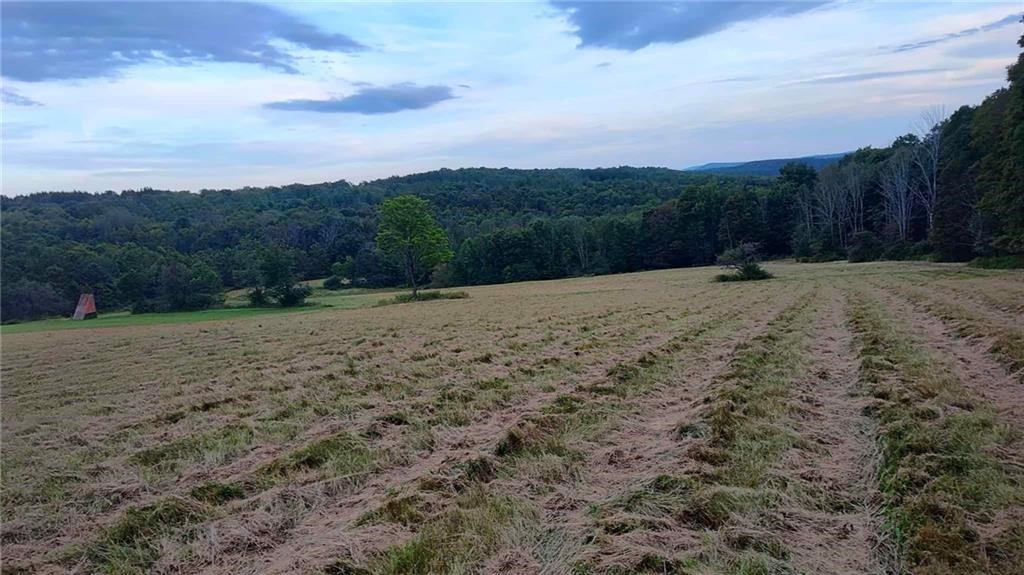 45 Kronus Road Erin, NY 14838 - Photo 3 of 25