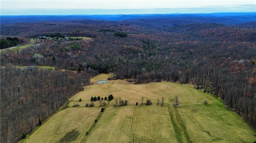 45 Kronus Road Erin, NY 14838 - Photo 5 of 25