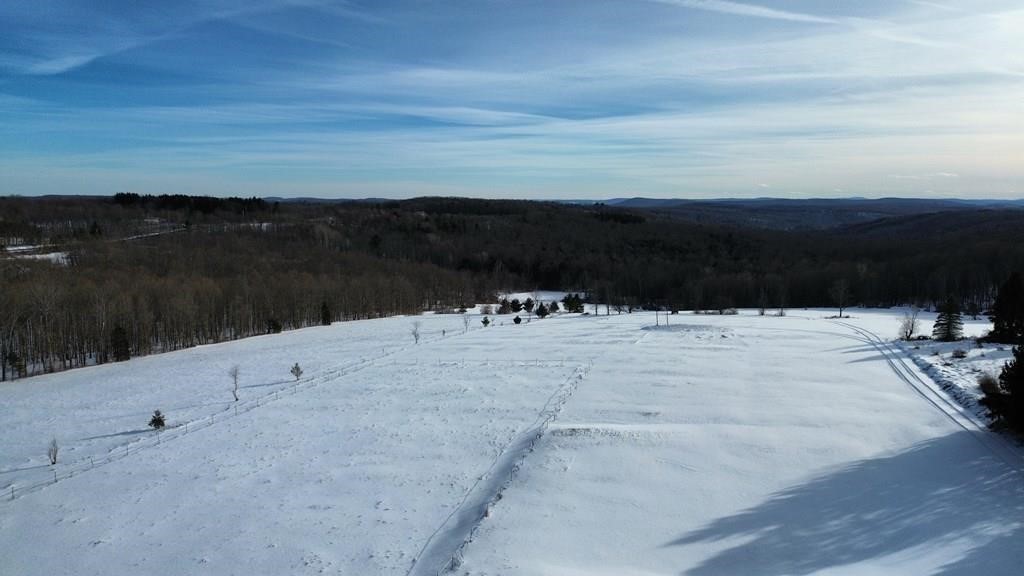 45 Kronus Road Erin, NY 14838 - Photo 9 of 25