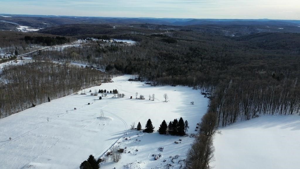 45 Kronus Road Erin, NY 14838 - Photo 10 of 25