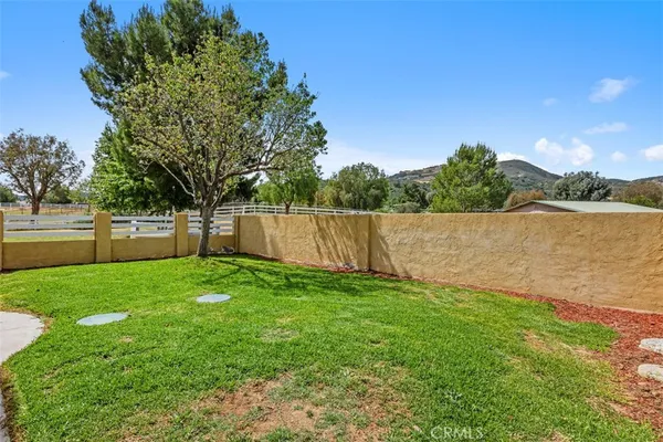 a view of a yard with a tree