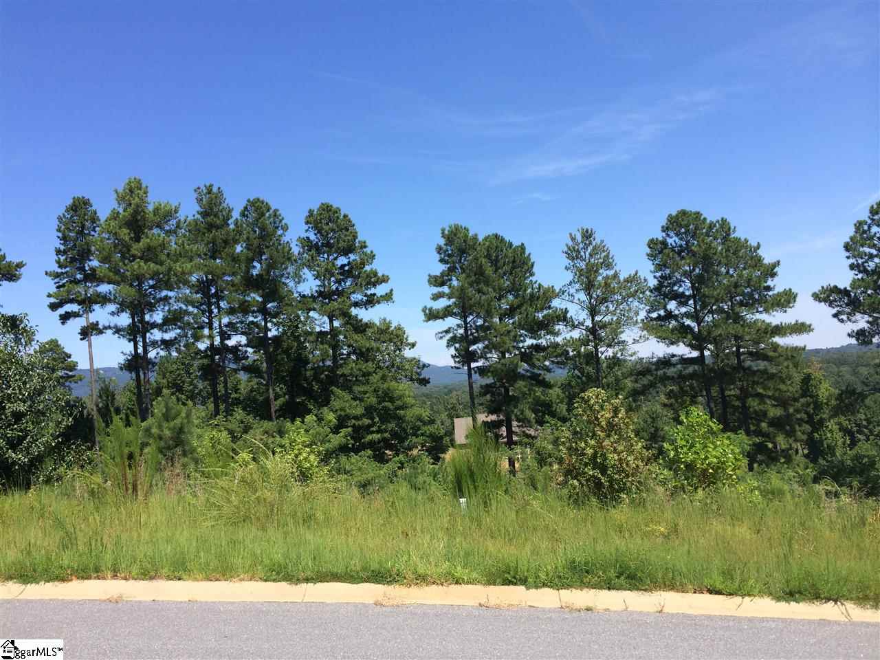 2 Club Cart Road Travelers Rest, SC 29690 - Photo 29 of 30 Gallery Image 29