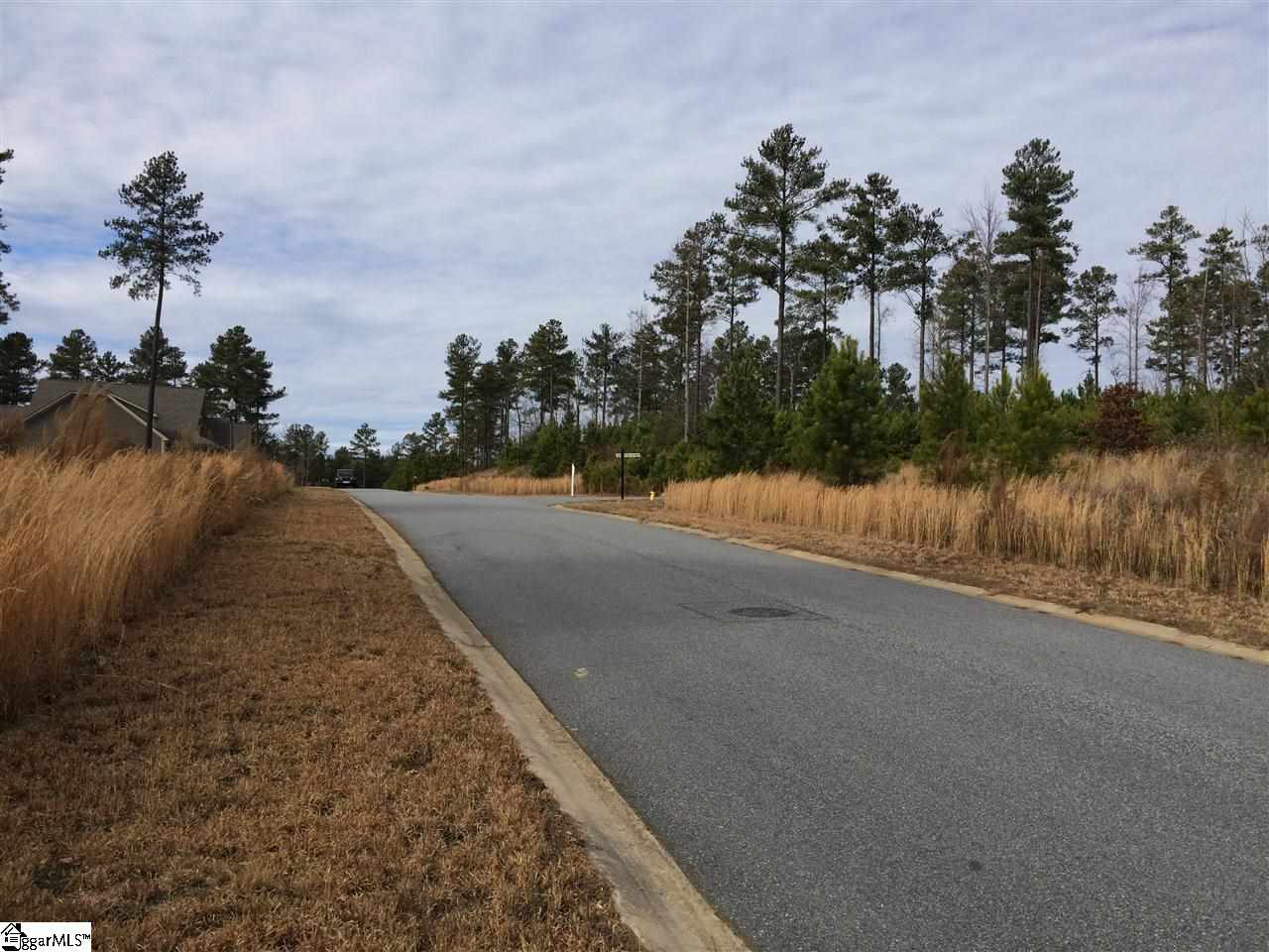 2 Club Cart Road Travelers Rest, SC 29690 - Photo 8 of 30 Gallery Image 8