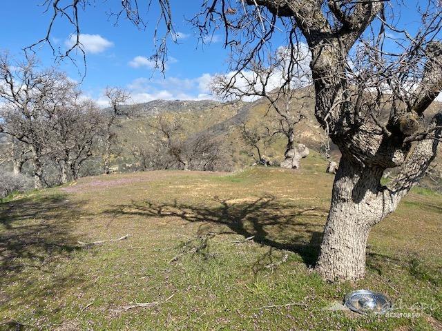 0 Piute Meadows Road Caliente, CA 93518 - Photo 18 of 18 Gallery Image 18