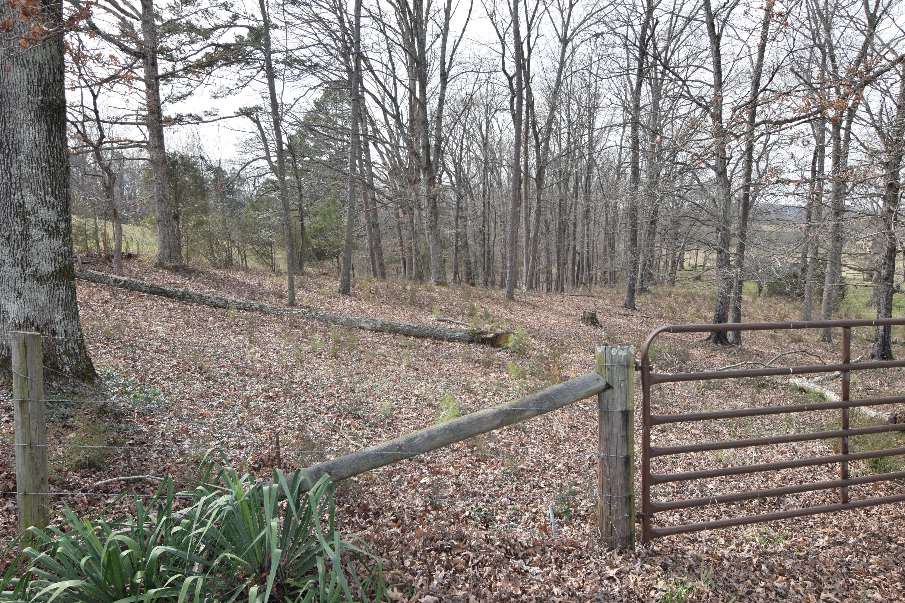 Wine Road Dandridge, TN 37725 - Photo 1 of 3 wine road photo 1