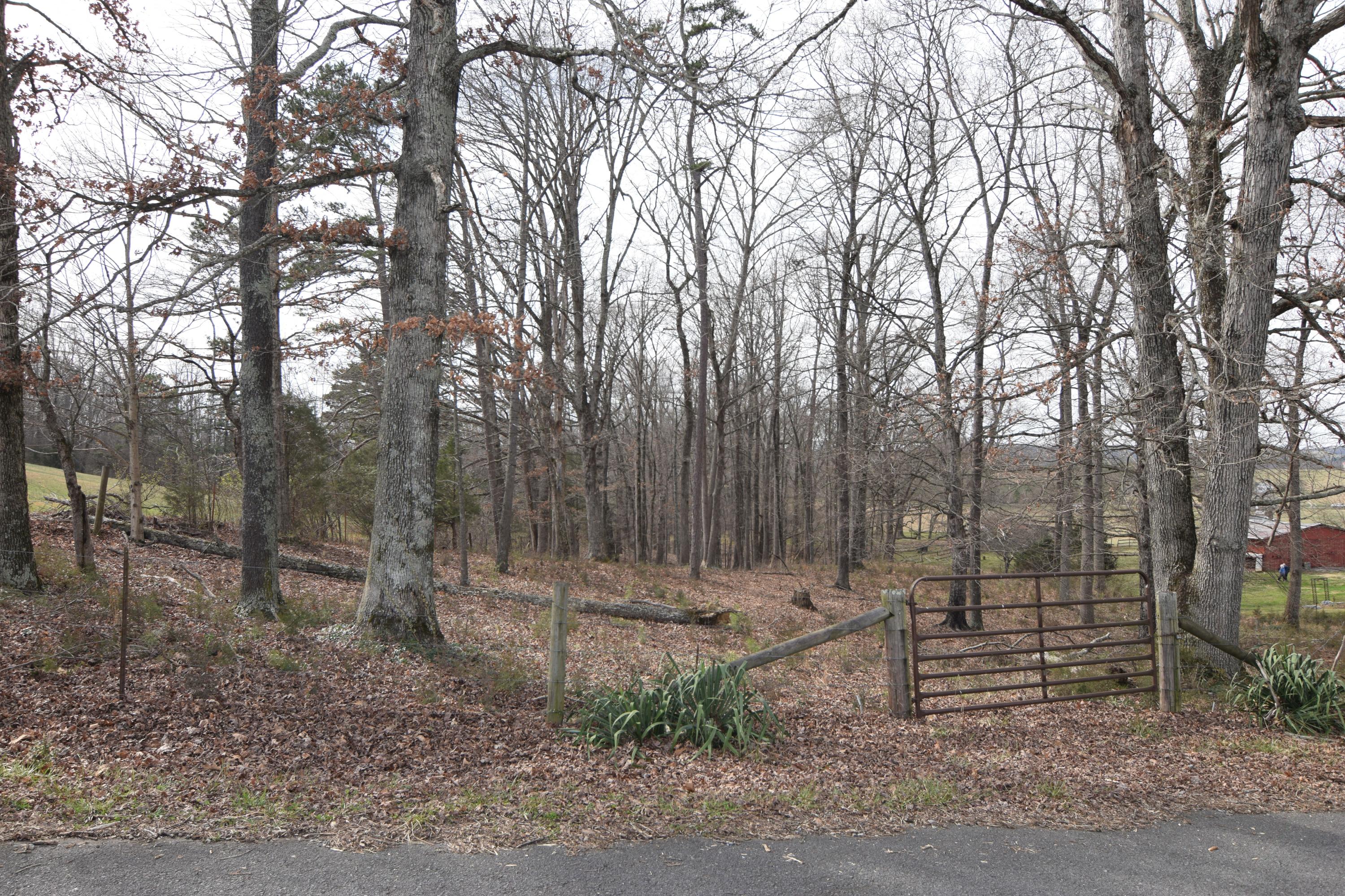 Wine Road Dandridge, TN 37725 - Photo 2 of 3 wine road photo 2