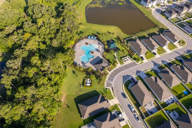 a view of a park with palm trees