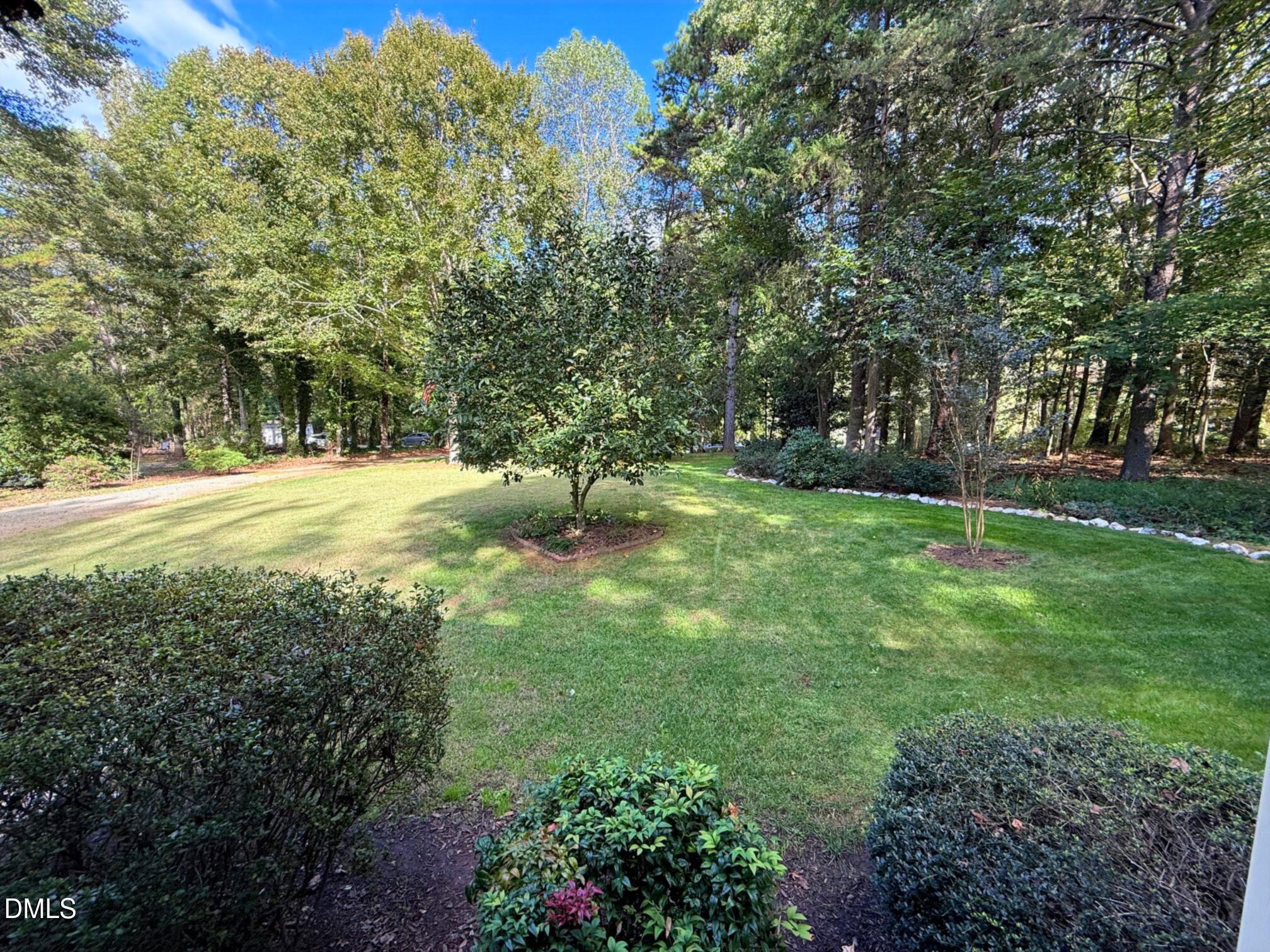 127 Cobble Brook Drive Rougemont, NC 27572 - Photo 22 of 48 a view of a backyard with large trees