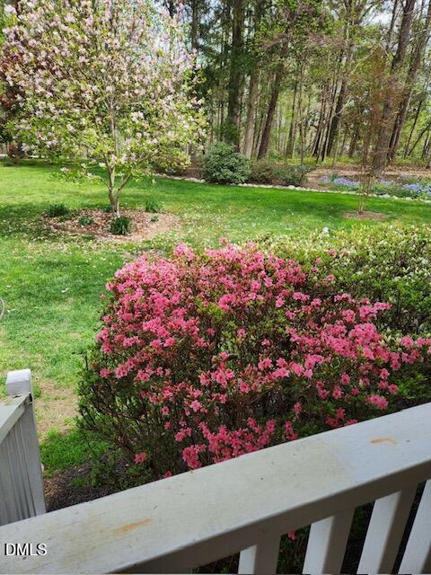 127 Cobble Brook Drive Rougemont, NC 27572 - Photo 38 of 48 a view of a garden with flowers