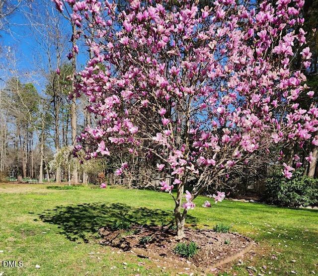 127 Cobble Brook Drive Rougemont, NC 27572 - Photo 40 of 48 a green field with lots of bushes