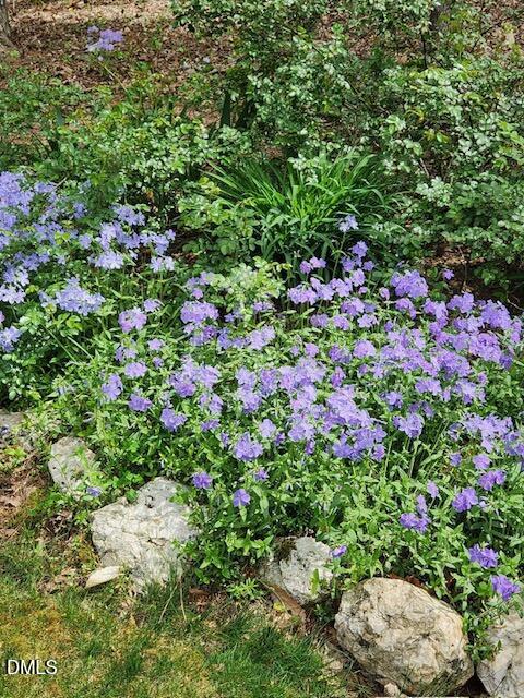 127 Cobble Brook Drive Rougemont, NC 27572 - Photo 47 of 48 a picture of flowers