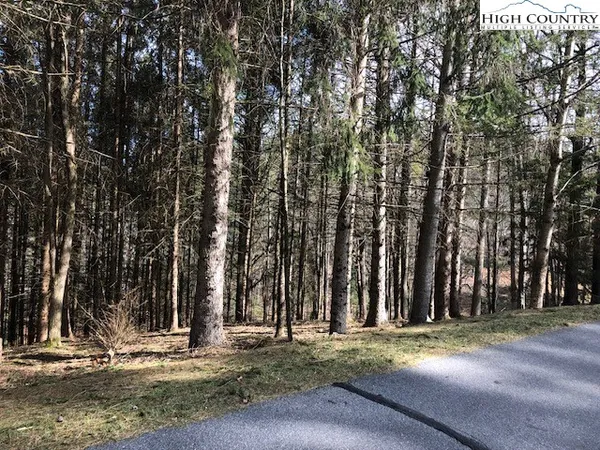 a backyard of a house with lots of trees