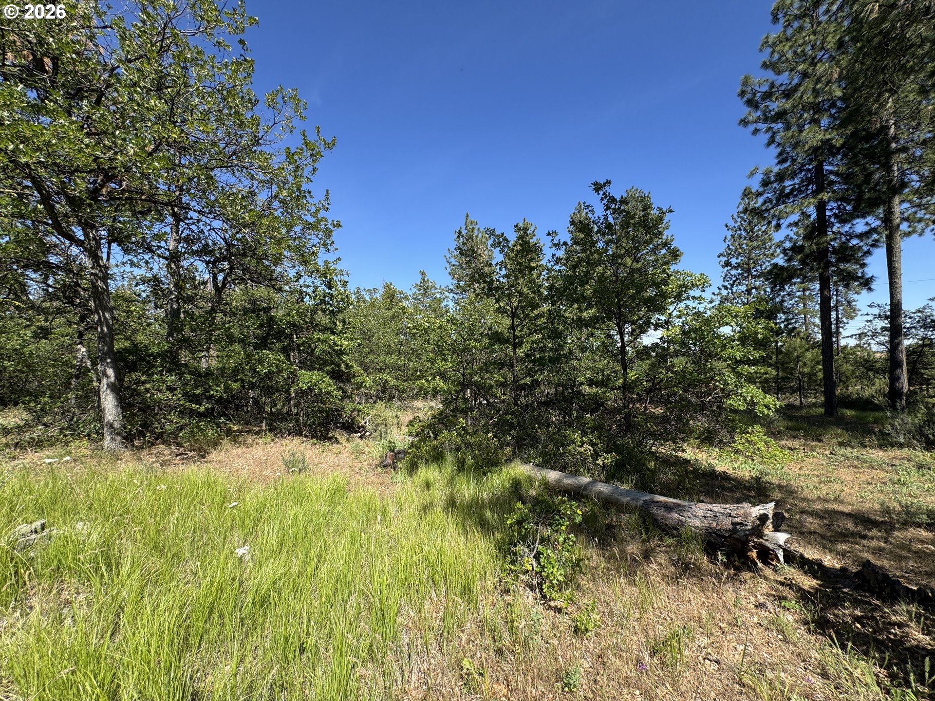 112 Timber Road Roosevelt, WA 99356 - Photo 29 of 31