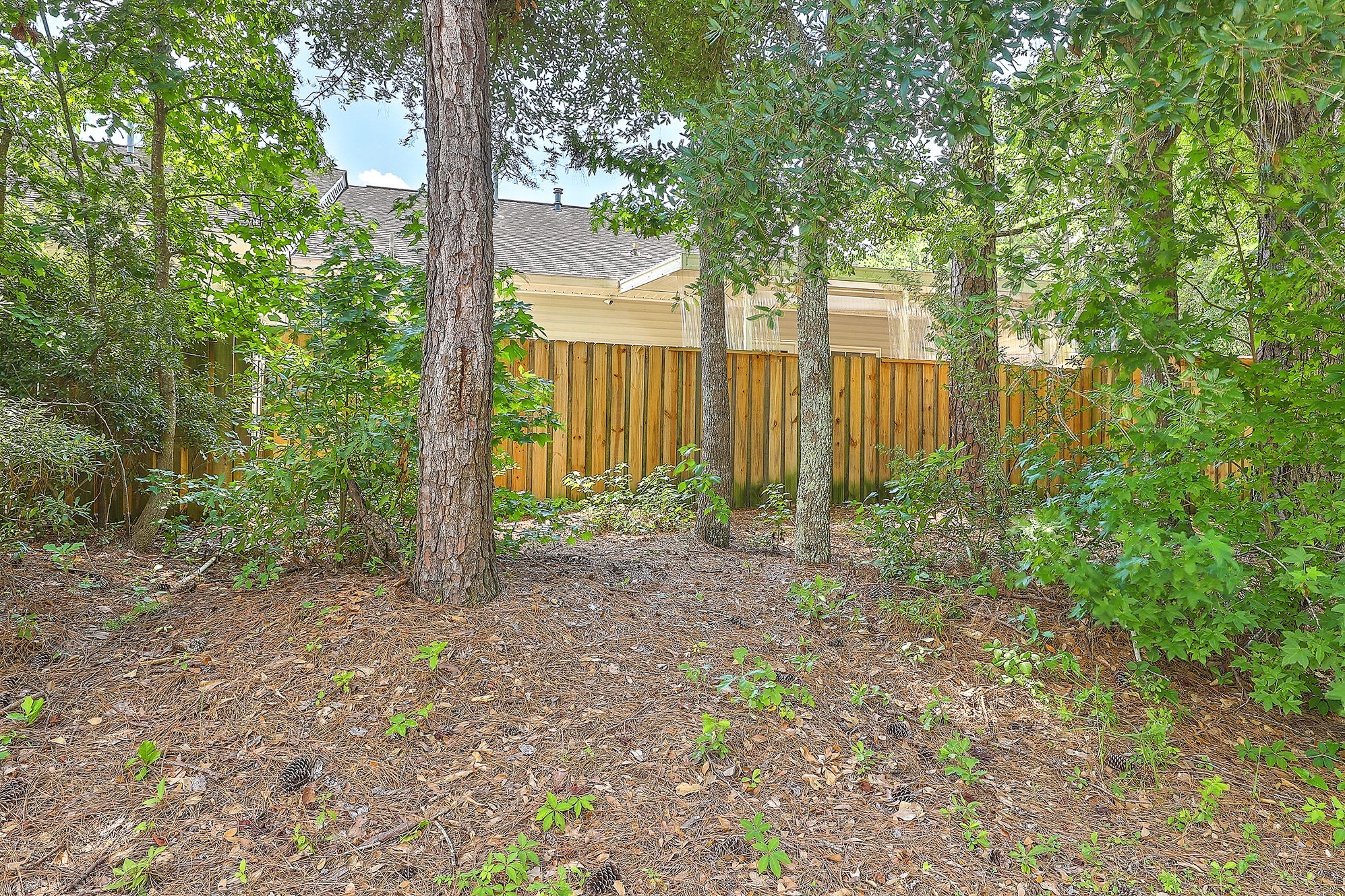 100 Bridgetown Road, Unit 1B Goose Creek, SC 29445 - Photo 27 of 44 100Bridgetown1BRear