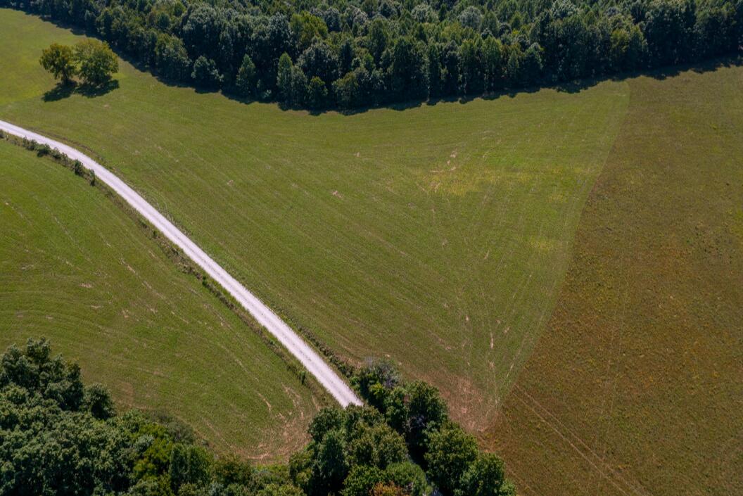 Tbd Boone Ridge Road Garrison, KY 41141 - Photo 6 of 10 9108