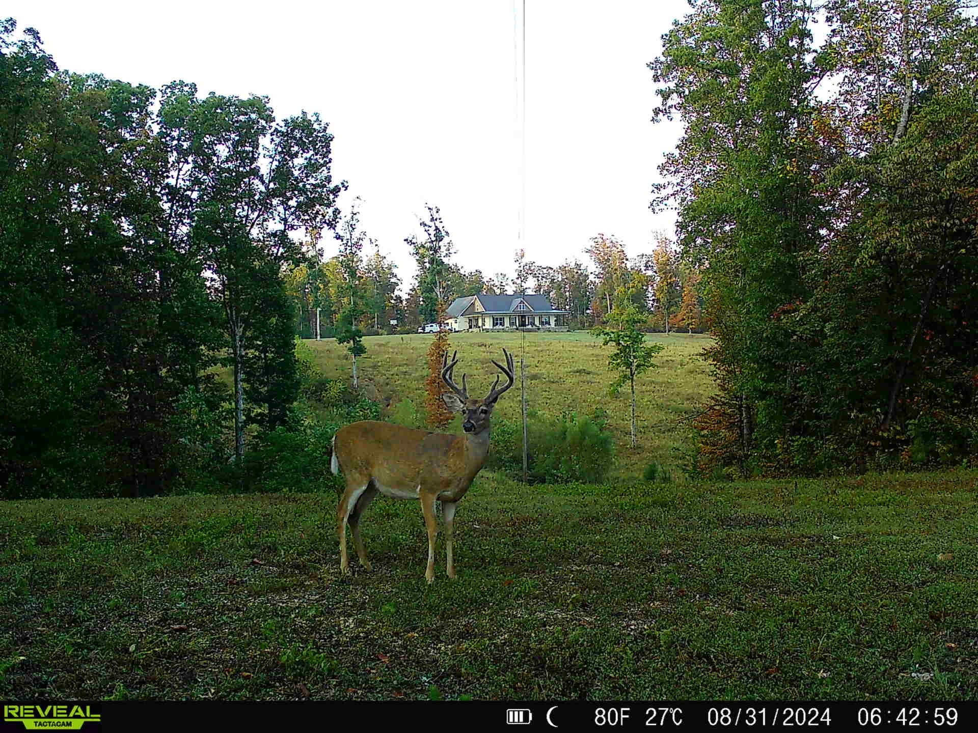 3571 Old Blacktop Road McEwen, TN 37101 - Photo 2 of 99