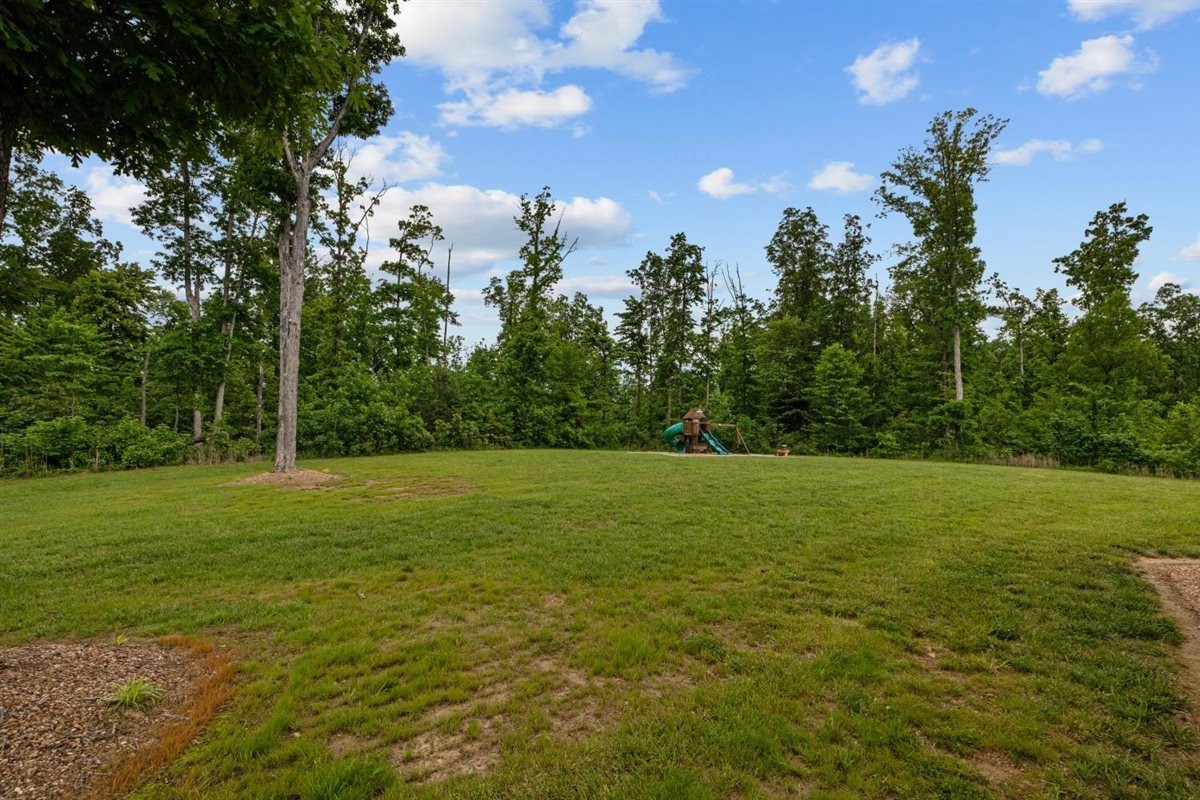 3571 Old Blacktop Road McEwen, TN 37101 - Photo 53 of 99 a view of outdoor space and yard