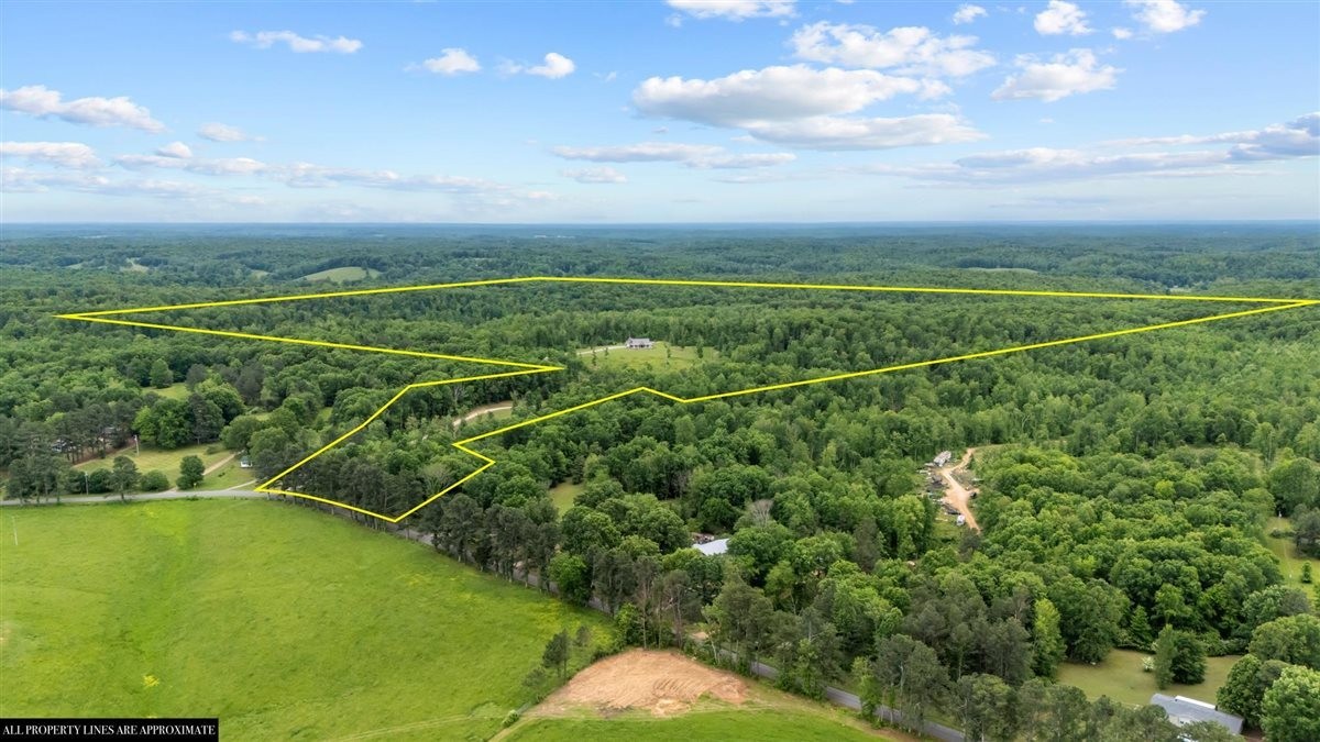 3571 Old Blacktop Road McEwen, TN 37101 - Photo 55 of 99