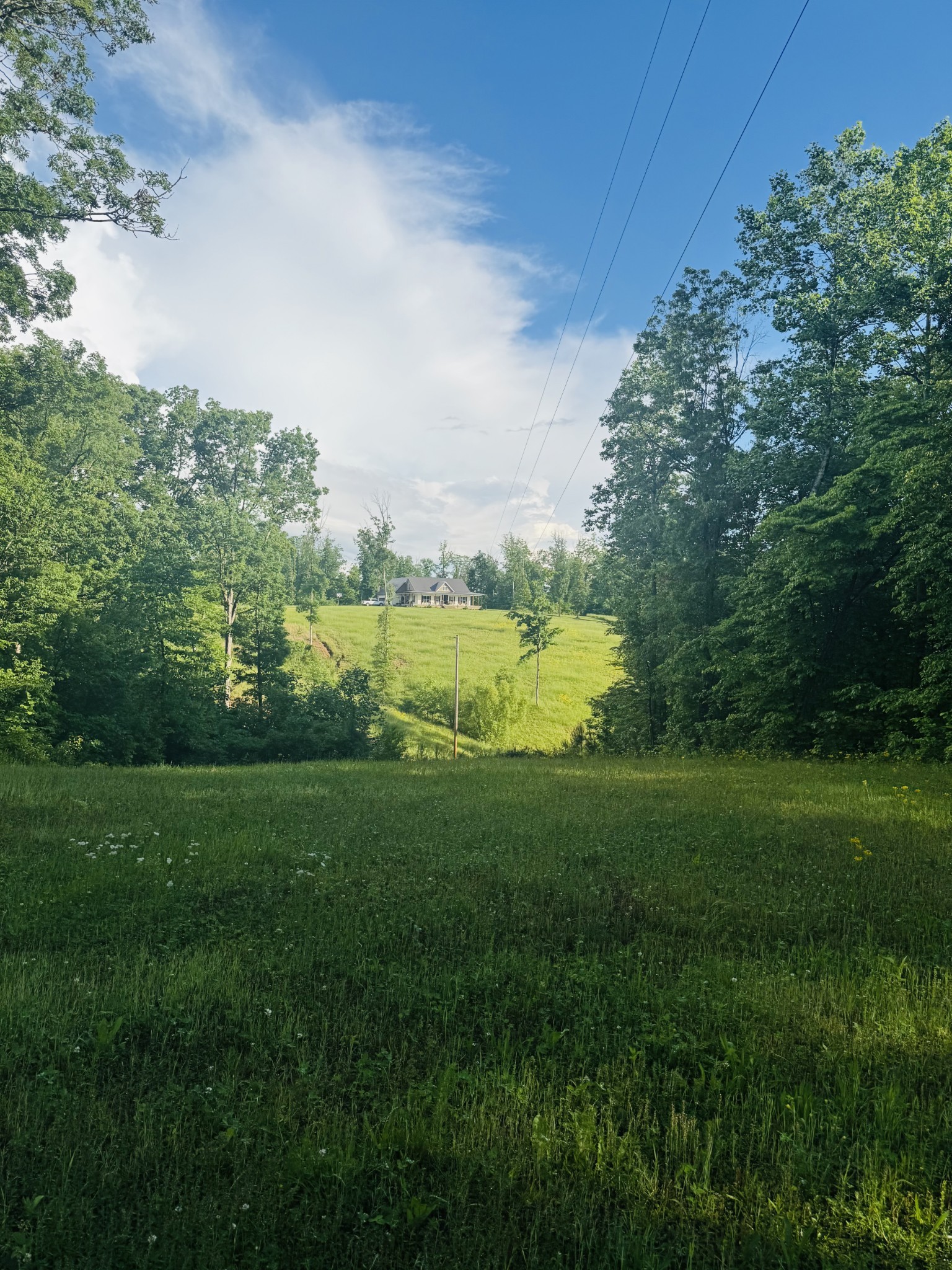 3571 Old Blacktop Road McEwen, TN 37101 - Photo 69 of 99 a view of an outdoor space and a yard