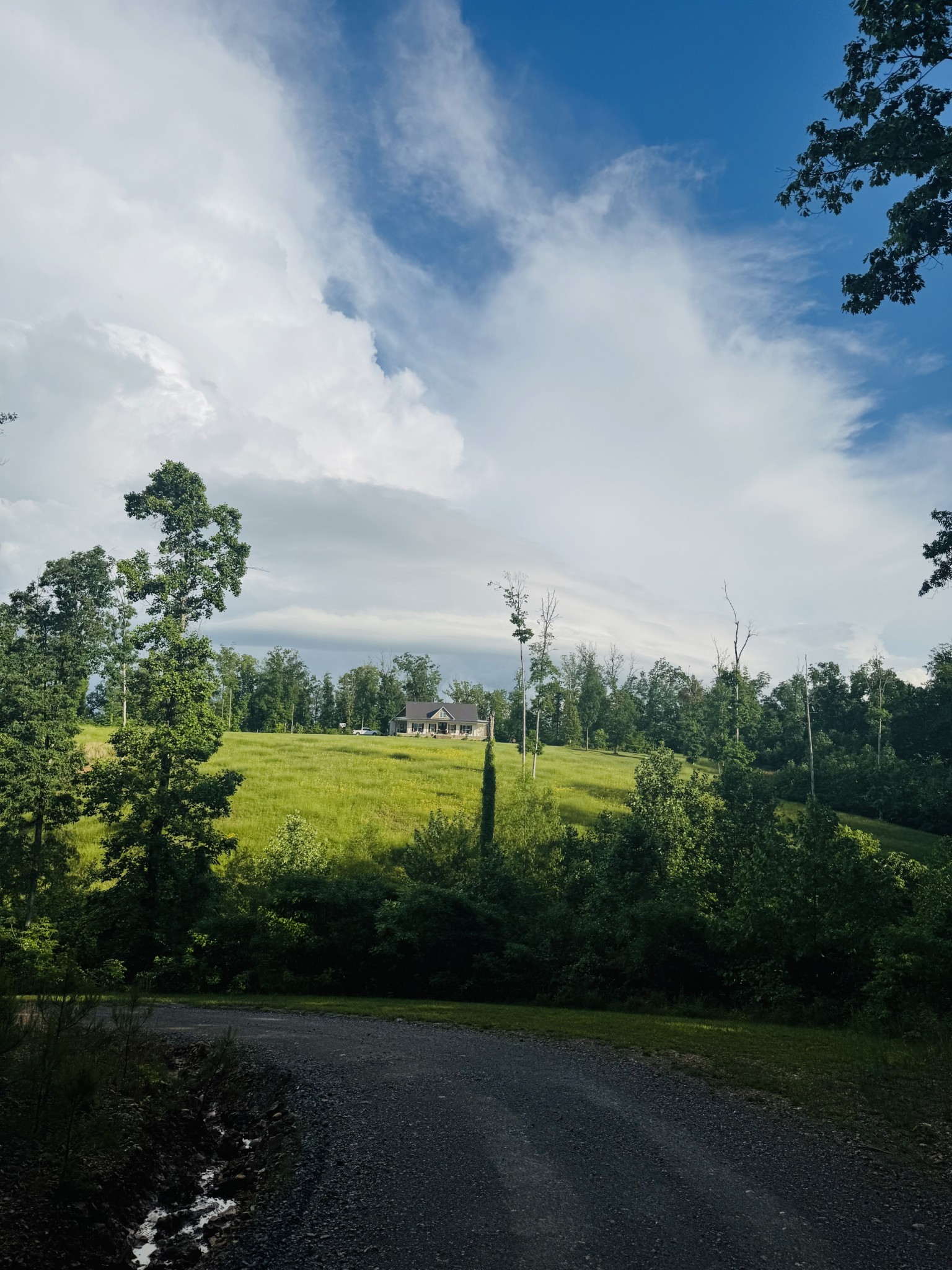 3571 Old Blacktop Road McEwen, TN 37101 - Photo 70 of 99