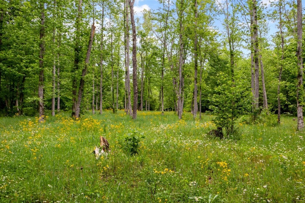 3571 Old Blacktop Road McEwen, TN 37101 - Photo 74 of 99 a view of outdoor space and green space