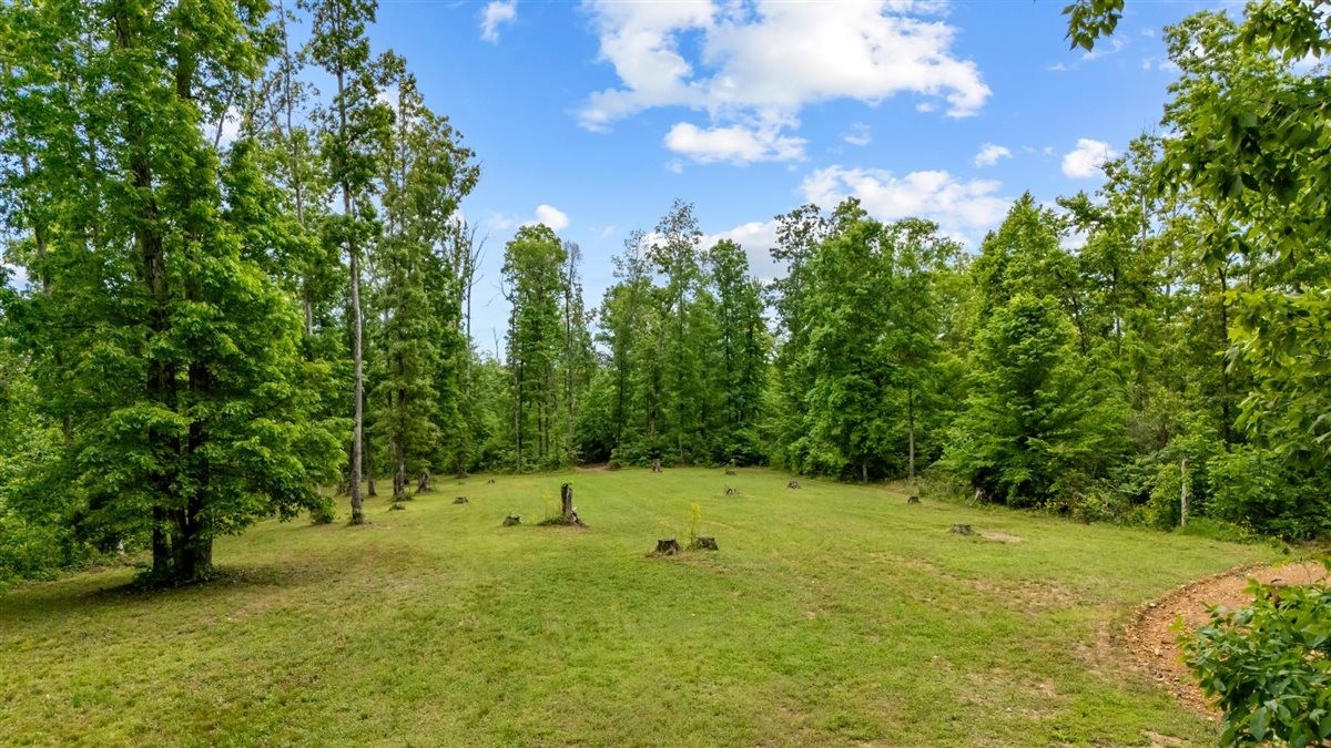 3571 Old Blacktop Road McEwen, TN 37101 - Photo 75 of 99