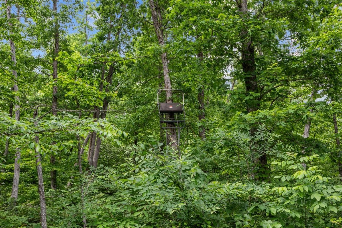 3571 Old Blacktop Road McEwen, TN 37101 - Photo 76 of 99 a view of a garden with a house