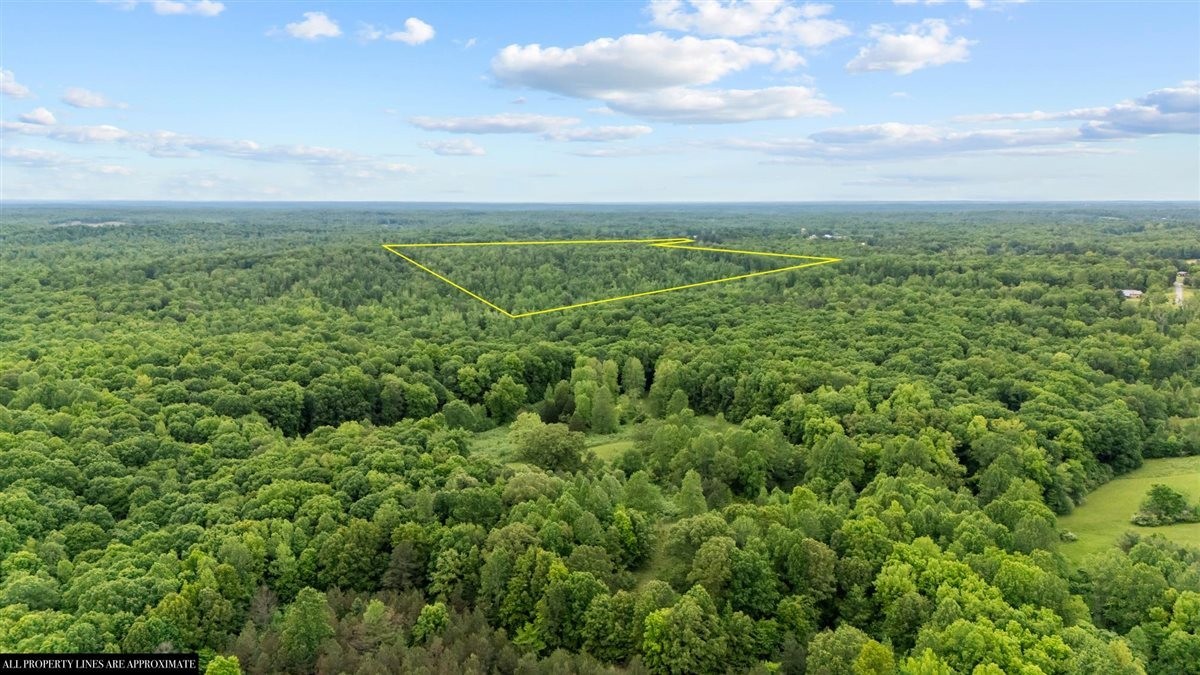 3571 Old Blacktop Road McEwen, TN 37101 - Photo 79 of 99 an aerial view of houses covered in trees