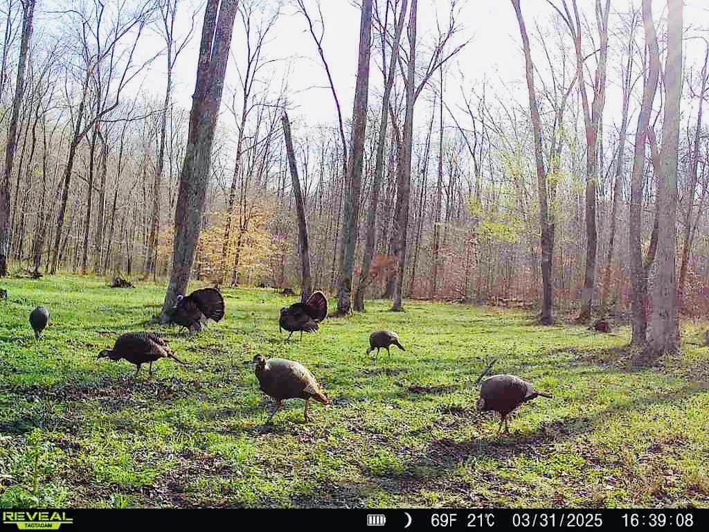 3571 Old Blacktop Road McEwen, TN 37101 - Photo 82 of 99