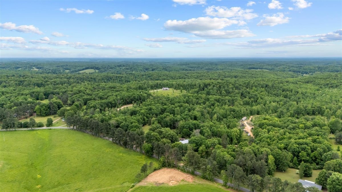 3571 Old Blacktop Road McEwen, TN 37101 - Photo 97 of 99