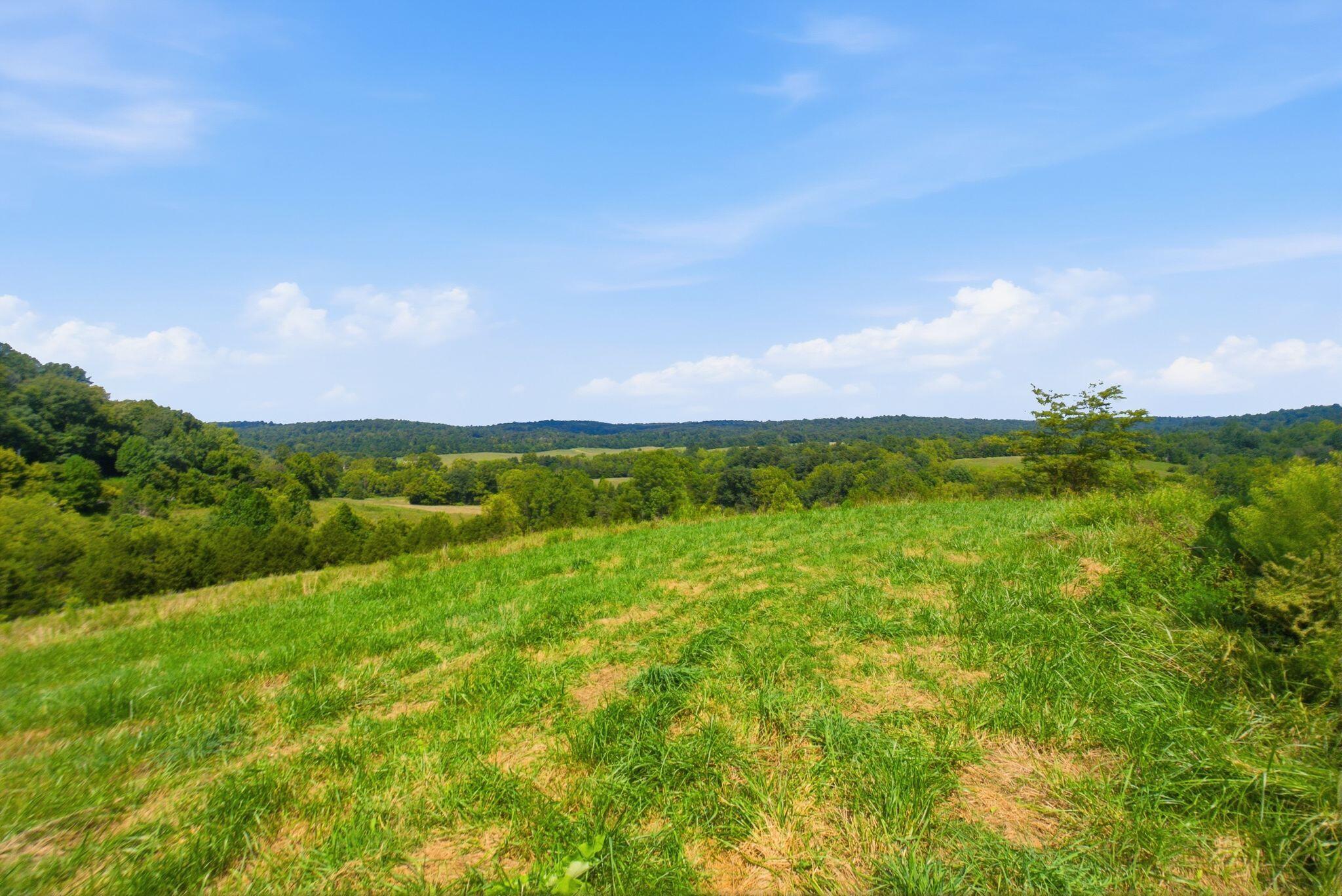 15529 St John Road, Unit TRACT #2 Rineyville, KY 40162 - Photo 27 of 39 dsc04587