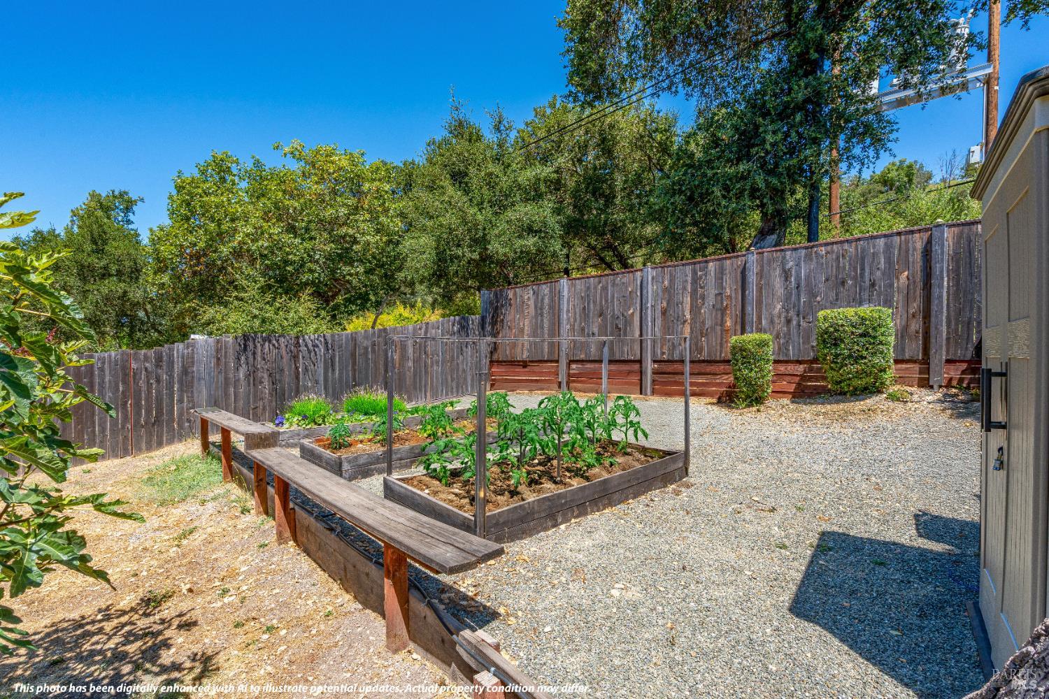 4920 Warm Springs Road Glen Ellen, CA 95442 - Photo 49 of 54 Growing garden.