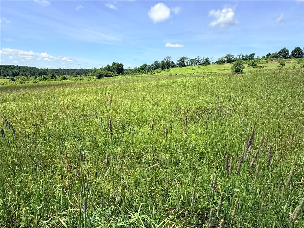 L19 North Pond Road Guilford, NY 13780 - Photo 4 of 19
