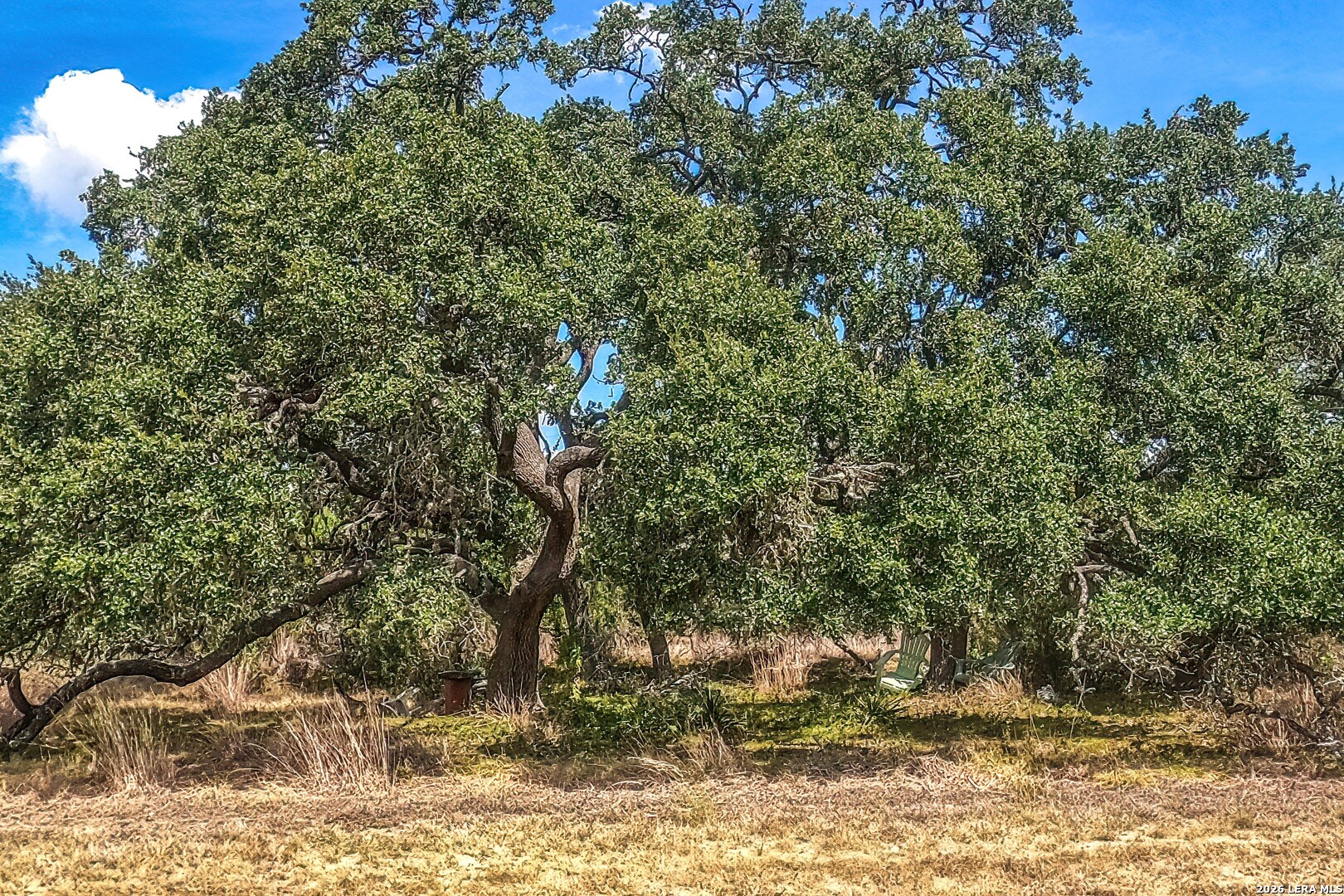 100 Red Rock Road Blanco, TX 78606 - Photo 11 of 38 Gallery Image 11