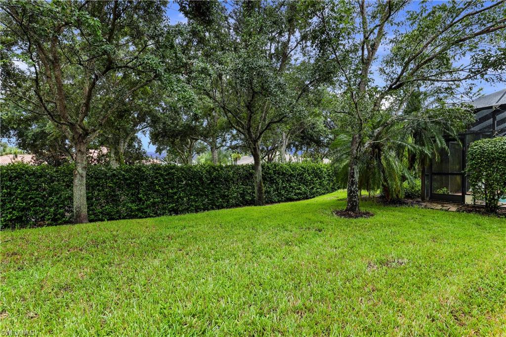 1655 Triangle Palm Terrace Naples, FL 34119 - Photo 18 of 22 a view of a tree in a garden