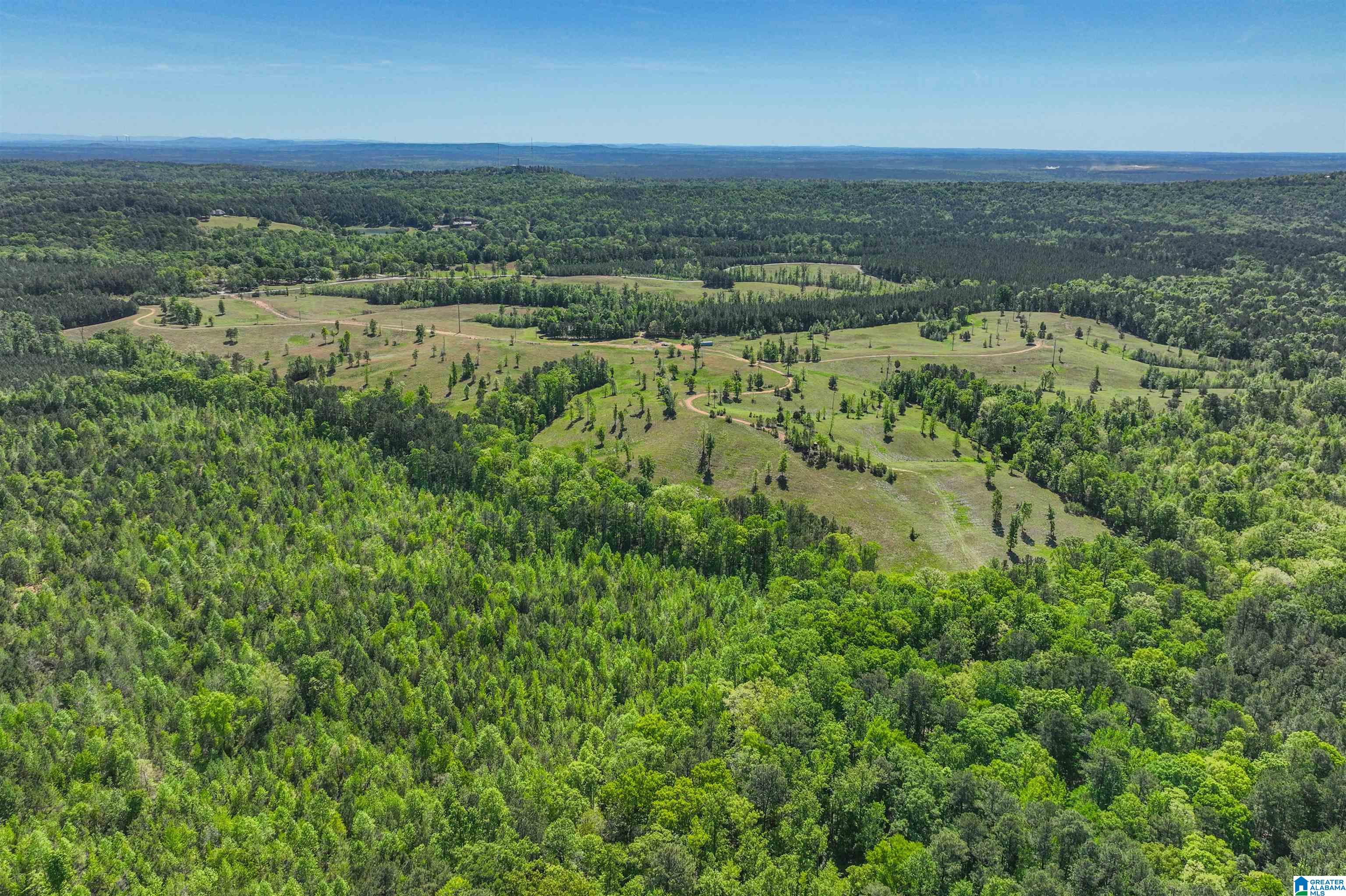 489 4 Wing Lake Road Alabaster, AL 35007 - Photo 5 of 27