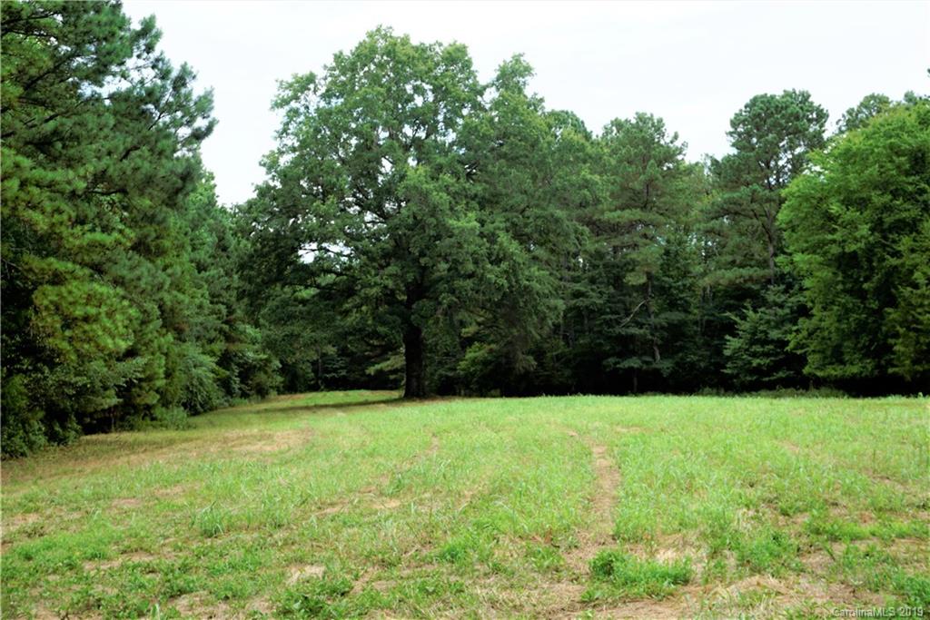 13.5-ac 13.5-ac Cameron Road Chester, SC 29706 - Photo 2 of 9 Gallery Image 2