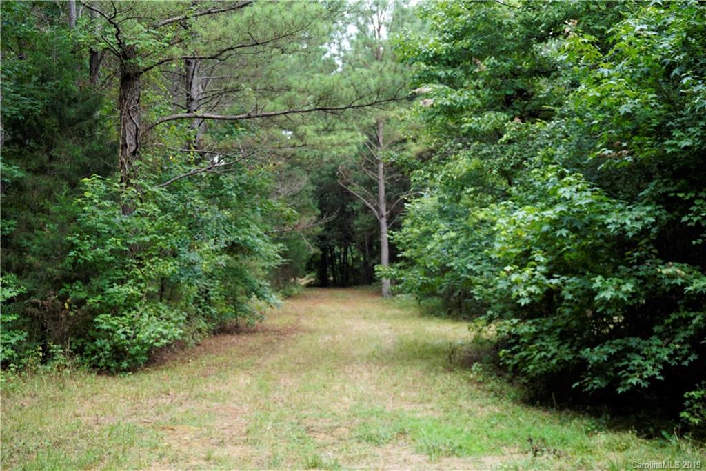 13.5-ac 13.5-ac Cameron Road Chester, SC 29706 - Photo 3 of 9 Gallery Image 3