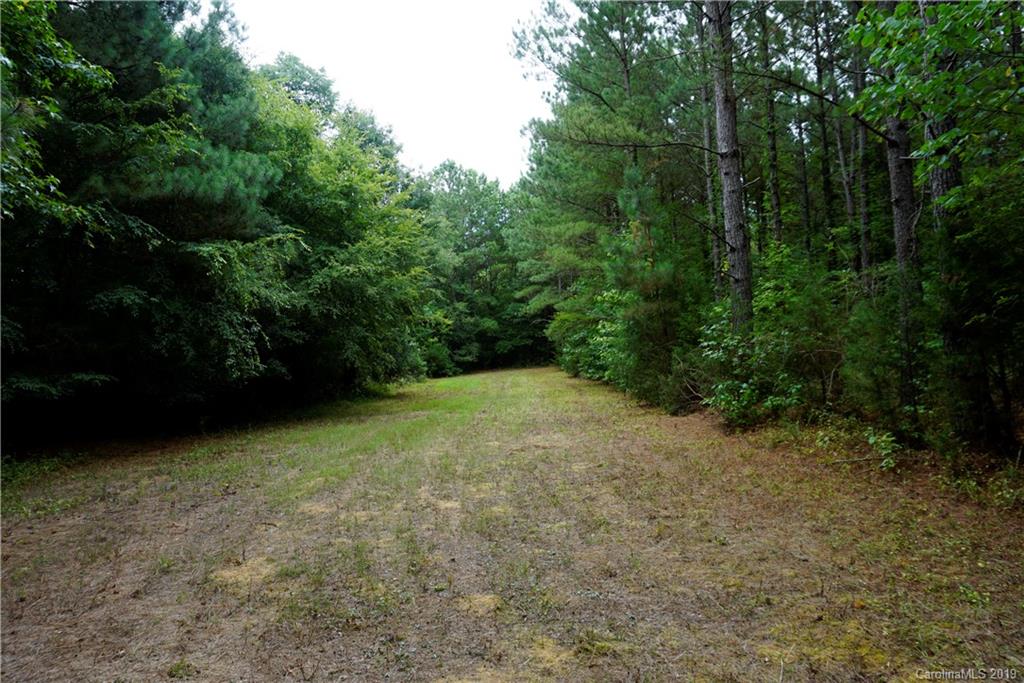 13.5-ac 13.5-ac Cameron Road Chester, SC 29706 - Photo 4 of 9 Gallery Image 4